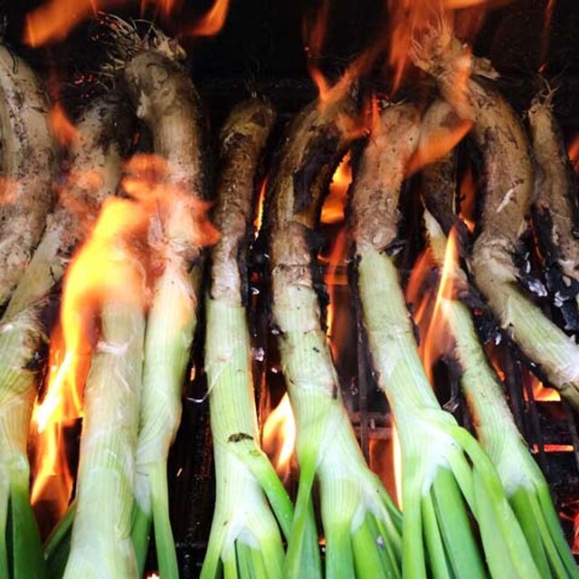Calçots horno leña