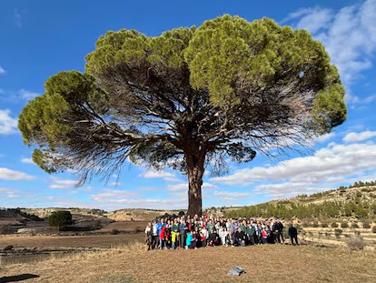 El Europino Juan Molinera