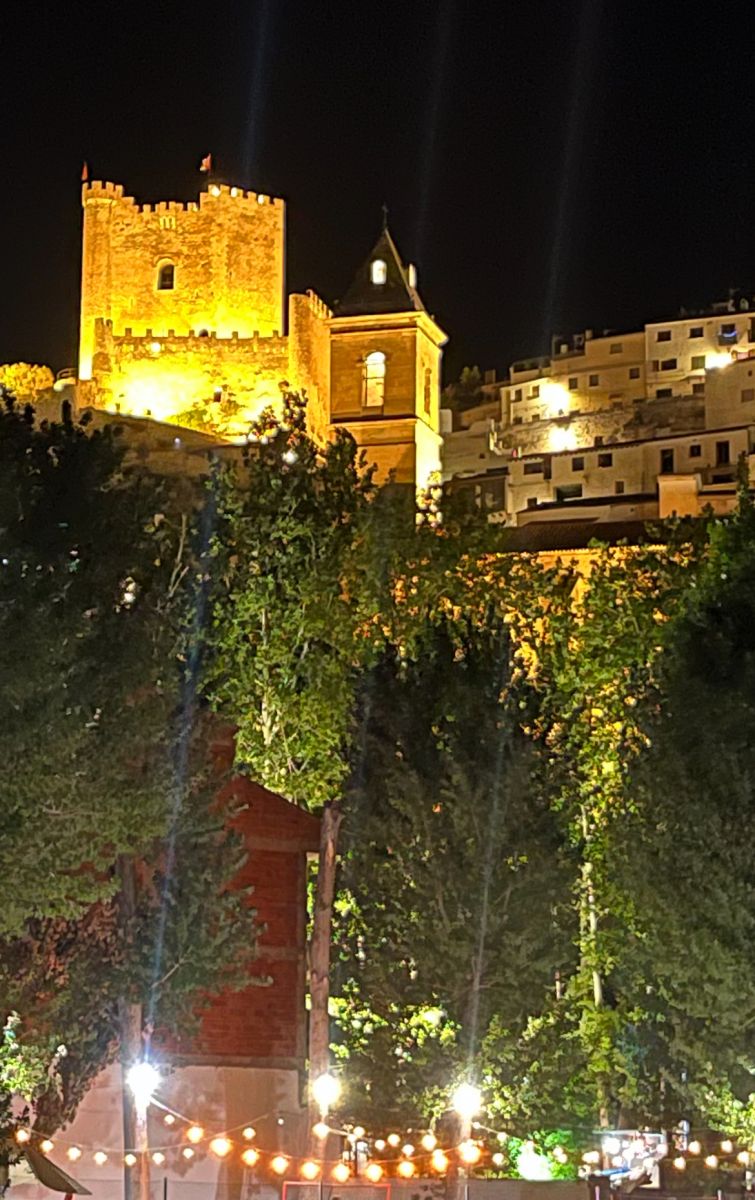 Macrofotografía de flora silvestre en Alcalá del Júcar